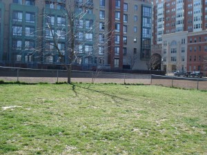 DSC03237